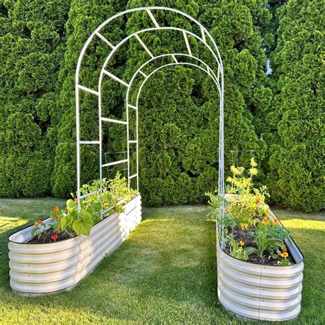 vegega metal raised garden beds